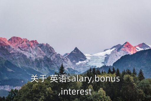關(guān)于 英語salary,bonus,interest