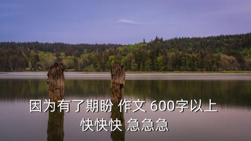 因為有了期盼 作文 600字以上 快快快 急急急