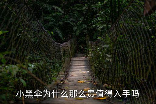小黑傘為什么那么貴值得入手嗎