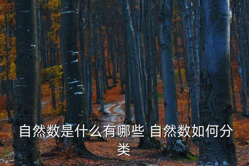 自然數(shù)有哪些,自然數(shù):只有1和本身兩個因子的叫素數(shù)