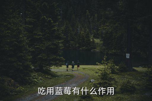 藍莓功效，吃用藍莓有什么作用
