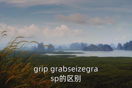 grip grabseizegrasp的區(qū)別