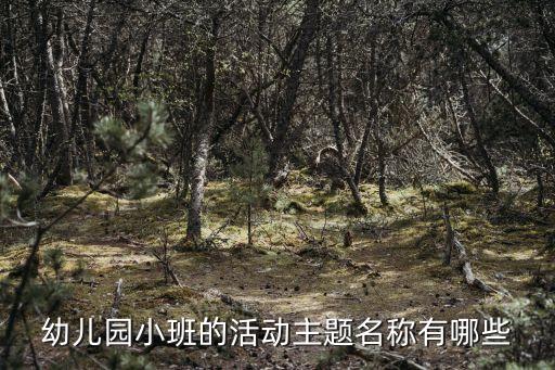 幼兒園小班的活動主題名稱有哪些