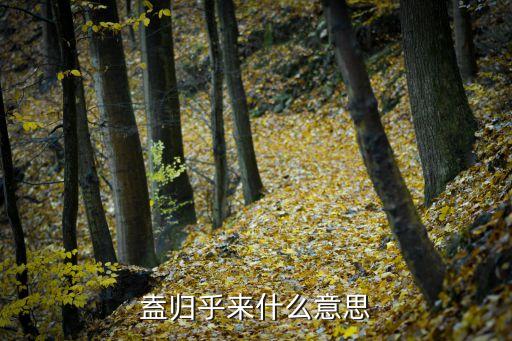祼歸，盍歸乎來什么意思