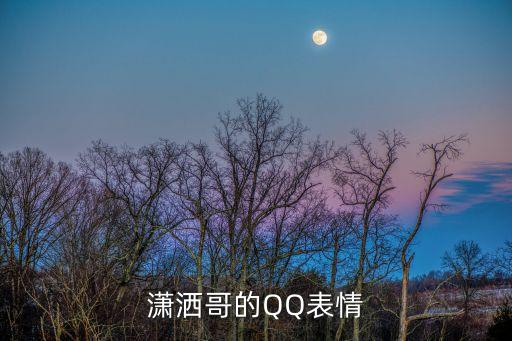 瀟灑哥的QQ表情