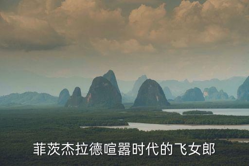 菲茨杰拉德，菲茨杰拉德怎么死的