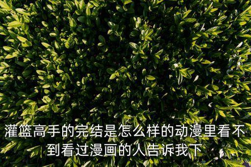 灌籃高手的完結是怎么樣的動漫里看不到看過漫畫的人告訴我下