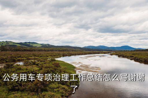 公務(wù)用車專項(xiàng)治理工作總結(jié)怎么寫(xiě)謝謝了
