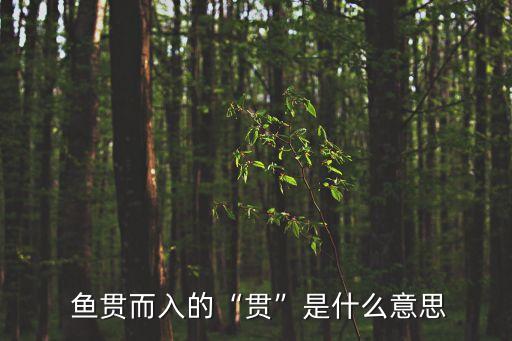 魚貫而入,三國故事:魏徵兵馬魚貫而入有序進場