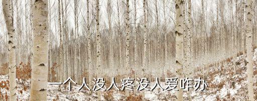 沒(méi)人疼沒(méi)人愛(ài)，沒(méi)人疼沒(méi)人愛(ài)的句子