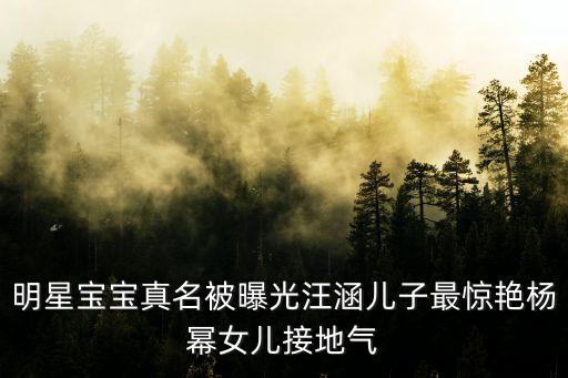 明星寶寶真名被曝光汪涵兒子最驚艷楊冪女兒接地氣