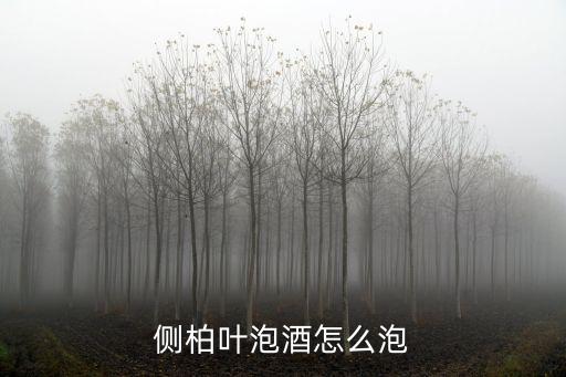 側柏葉泡酒，側柏葉泡酒還可以放些什么