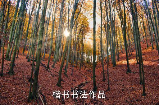 楷書作品，楷書書法作品