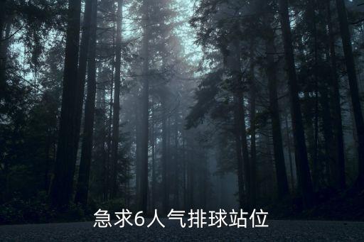 急求6人氣排球站位