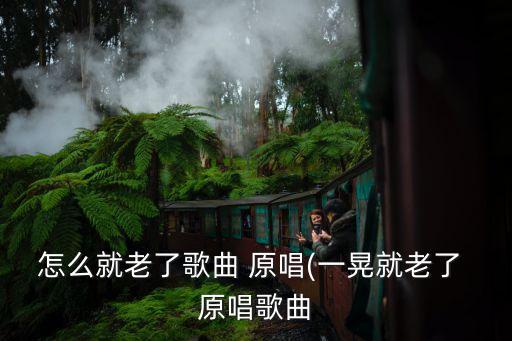當(dāng)你老了原唱,等我老了，會(huì)在心里為你唱這首歌