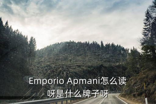 Emporio Apmani怎么讀呀是什么牌子呀