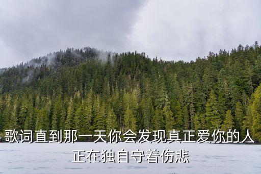 歌詞直到那一天你會發現真正愛你的人正在獨自守著傷悲