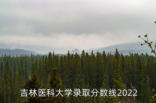 吉林醫學院,吉林醫科大學不能進，吉林一批省b段