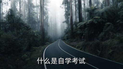 什么是自學考試，什么叫自學考試