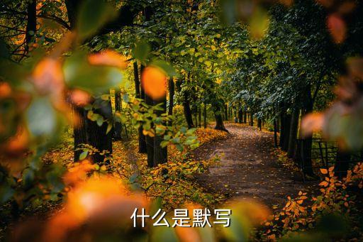 默寫，默寫是什么意思