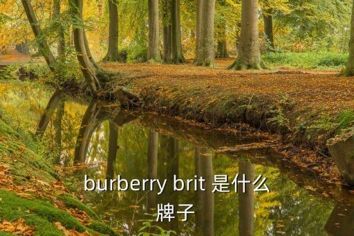 burberry brit 是什么牌子