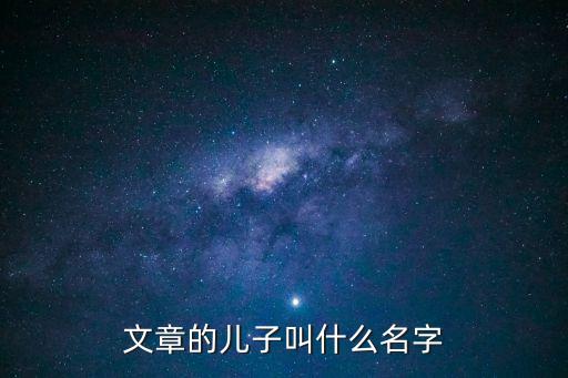 文章的兒子叫什么名字
