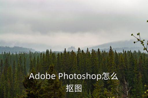 Adobe Photoshop怎么摳圖