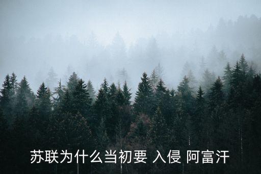 入侵阿富汗,蘇聯(lián)贏得阿富汗戰(zhàn)爭給阿聯(lián)人民帶來深重災難