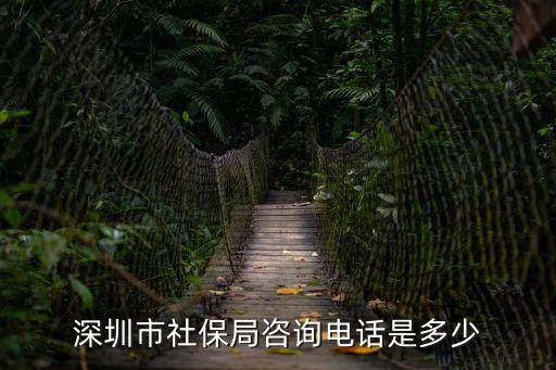 深圳市社保局咨詢電話是多少