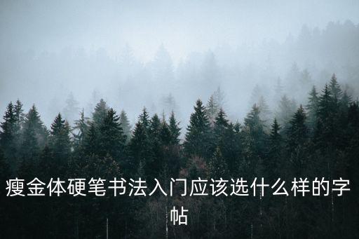 瘦金體硬筆書法入門應該選什么樣的字帖