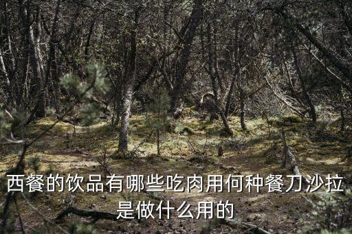 西餐有哪些，西點都有哪些種類