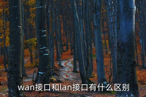 wan口,wan接口和局域網接口的區別