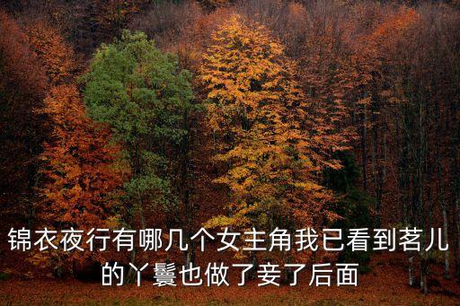 錦衣夜行電視劇，錦衣夜行有哪幾個(gè)女主角我已看到茗兒的丫鬟也做了妾了后面