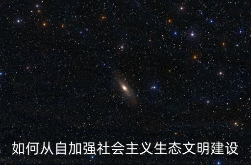 如何從自加強社會主義生態(tài)文明建設