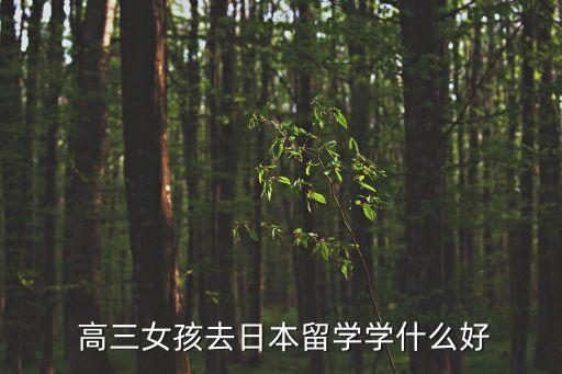  高三女孩去日本留學(xué)學(xué)什么好