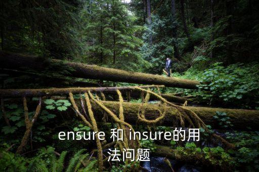 ensure 和 insure的用法問題