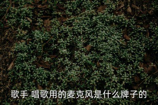 唱歌話筒,卡拉ok用什么話筒最好?
