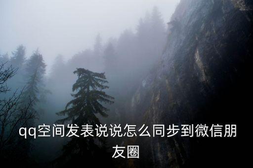 qq朋友圈,新加坡大選】朋友圈如何進行投票