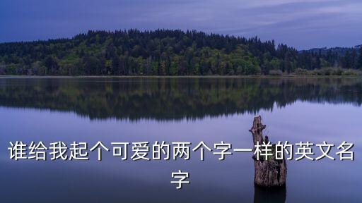 兩個字的英文名，求英文名兩個字的