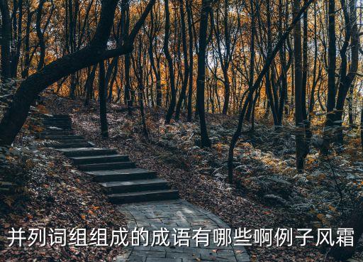 并列詞組組成的成語有哪些啊例子風(fēng)霜