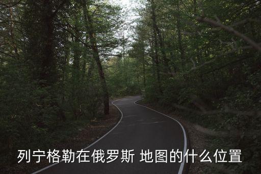 列寧格勒在俄羅斯 地圖的什么位置