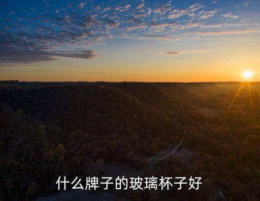 玻璃杯什么牌子好，玻璃杯子什么牌子好