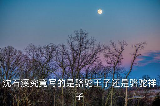 沈石溪究竟寫的是駱駝王子還是駱駝祥子