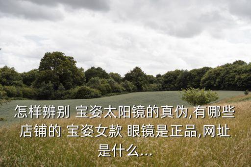 怎樣辨別 寶姿太陽鏡的真偽,有哪些店鋪的 寶姿女款 眼鏡是正品,網址是什么...