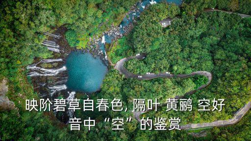 隔葉黃鸝空好音,以春草染臺階隔葉黃鸝空好音