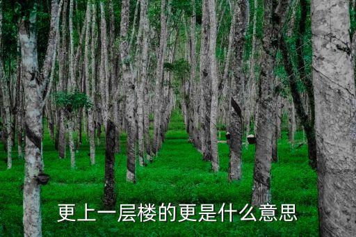 更的意思,更上一層樓，看得更遠(yuǎn)一千里