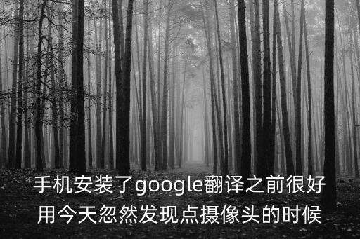 谷歌翻譯打不開，手機安裝了google翻譯之前很好用今天忽然發現點攝像頭的時候