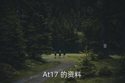 At17 的資料