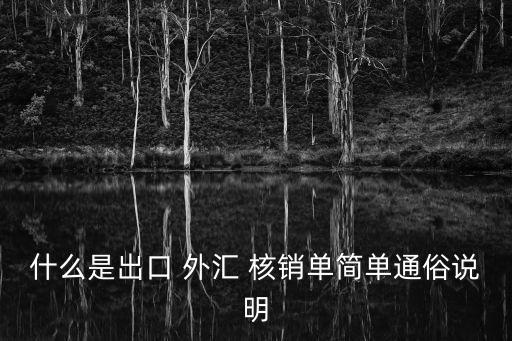 外匯核銷,8月1日起企業出口收匯核銷已取消