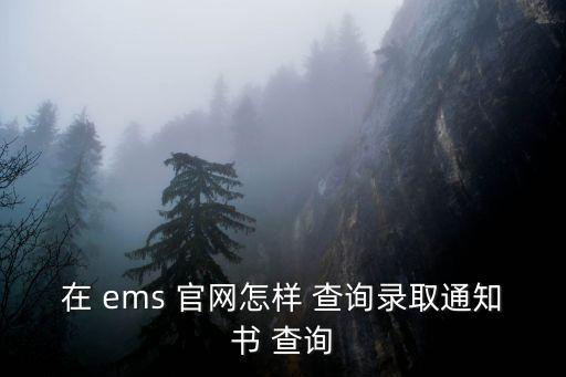在 ems 官網怎樣 查詢錄取通知書 查詢